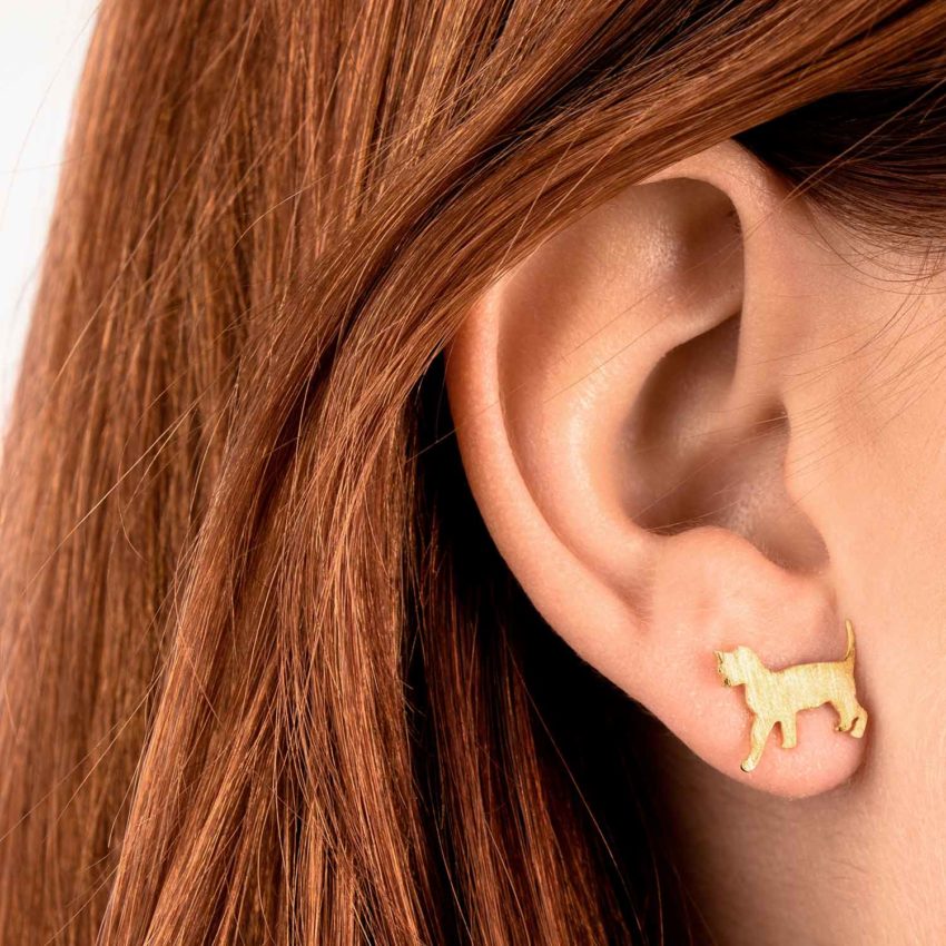 Pendientes de Plata O’Malley